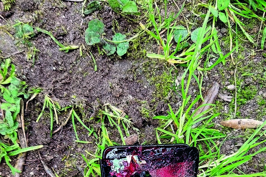 Telemóvel que esteve no bolso de um bombeiro e que foi atingido por um disparo