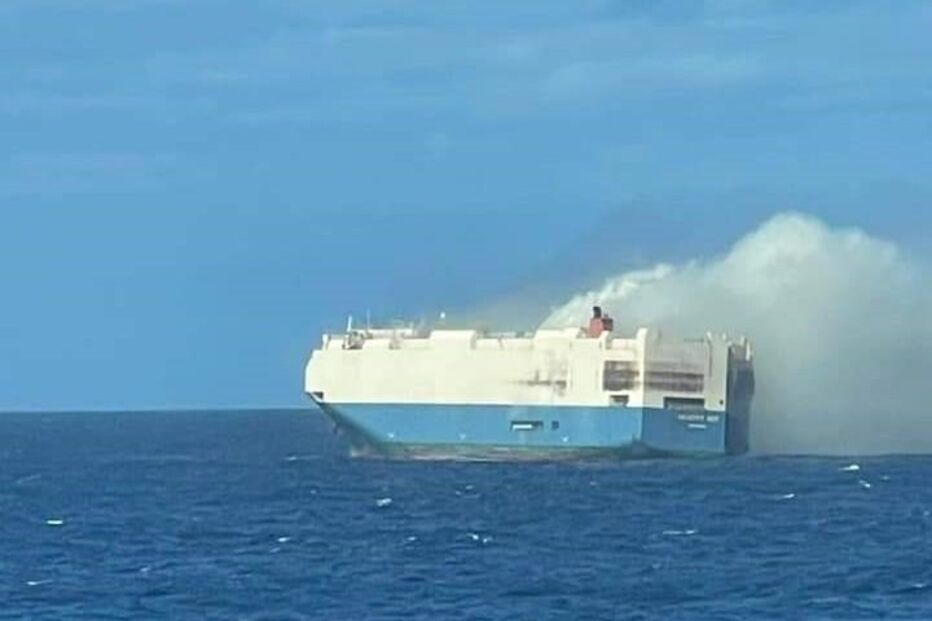 2022-02-17_22_55_51 felicity ace.jpg