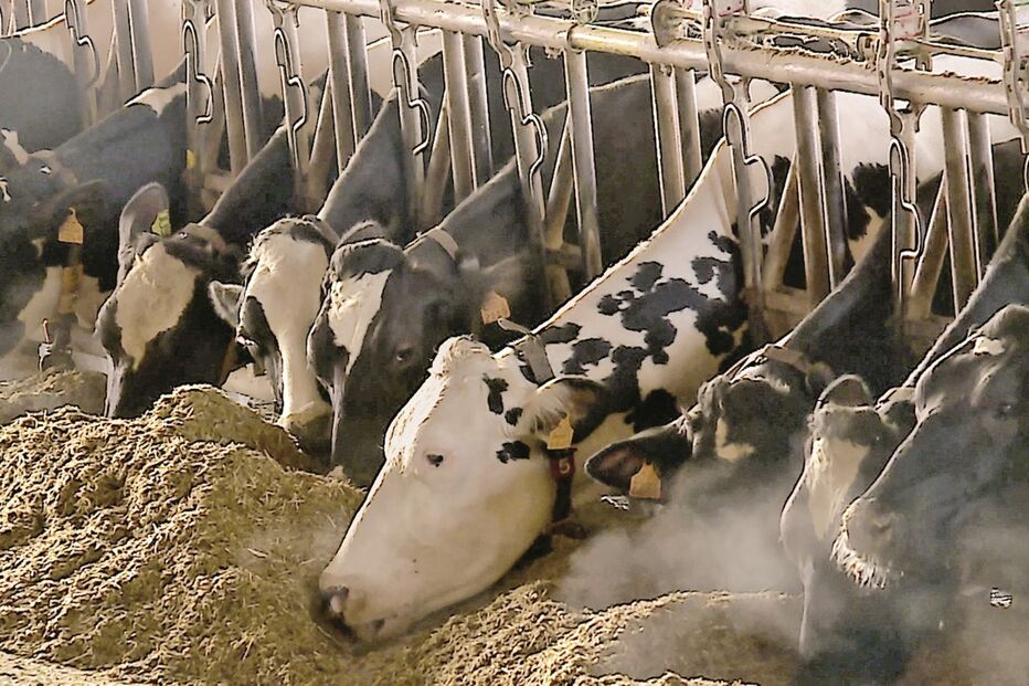 Imagem 42259816 copy.jpg (12981499) (Milenium)