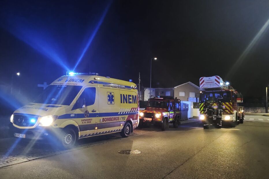 Gato resgatado de casa em Gaia após incêndio em cozinha