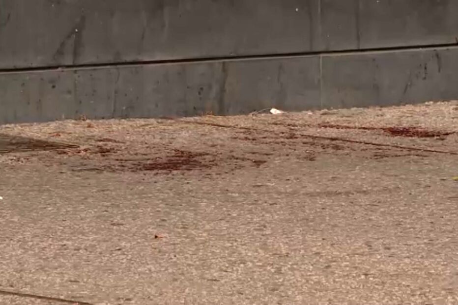 Filho de fadista Artur Batalha morre em poça de sangue em Lisboa