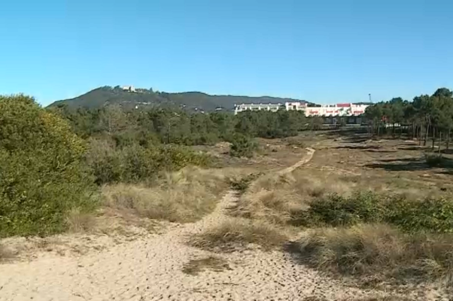 Duna destruída por trator em Viana do Castelo