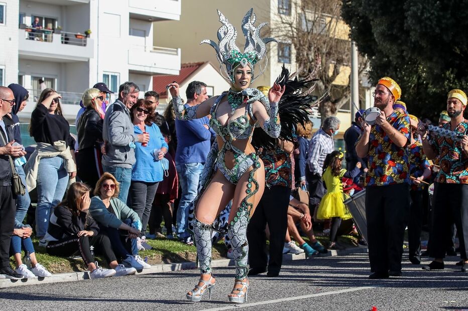 Imagem 35874799.JPG (13080882) (Milenium)