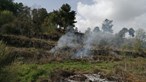 GNR deteve homem suspeito de originar fogo no concelho de Mêda