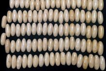 cocaína, correio de droga, detenção