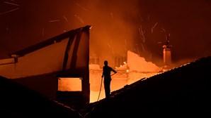 Quatro pessoas acusadas de tentar aceder indevidamente a apoios após fogos de 2017