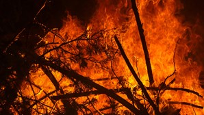 Sete concelhos de quatro distritos em risco máximo de incêndio