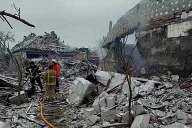 PSP abate vaca à solta na Segunda Circular em Lisboa