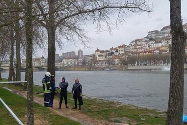 /fotosgeral/Fotos/2-42539086 (13227912) (Milenium)