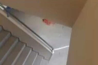 Jovem de 17 anos esfaqueada por ex-namorado apresentou queixas antes do ataque violento