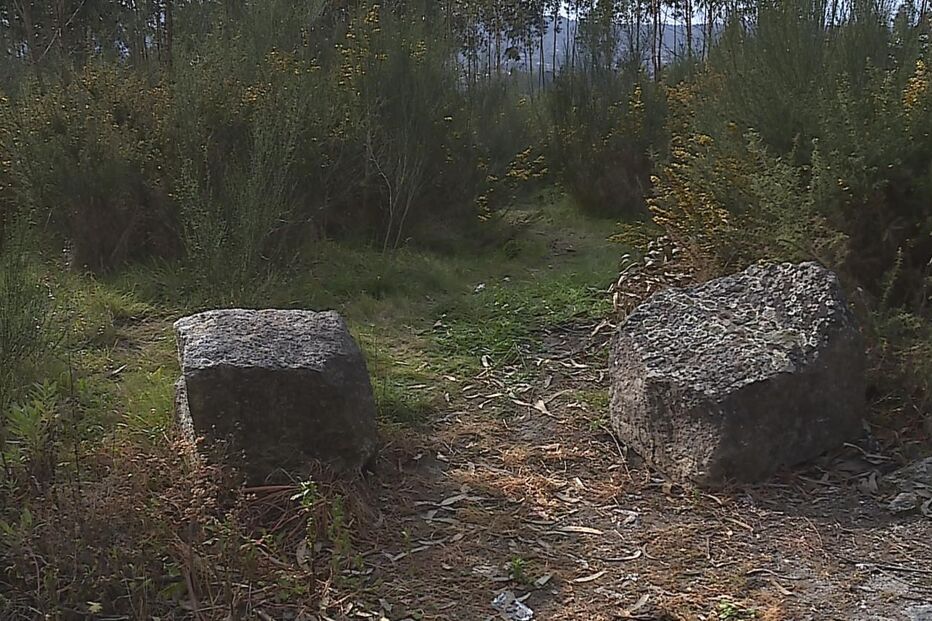 Mulher foi encontrada morta numa zona de mato perto da Rua de São Martinho, em Rio de Moinhos 