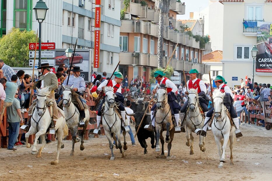 Imagem _DSA1717.JPG (13153362) (Milenium)