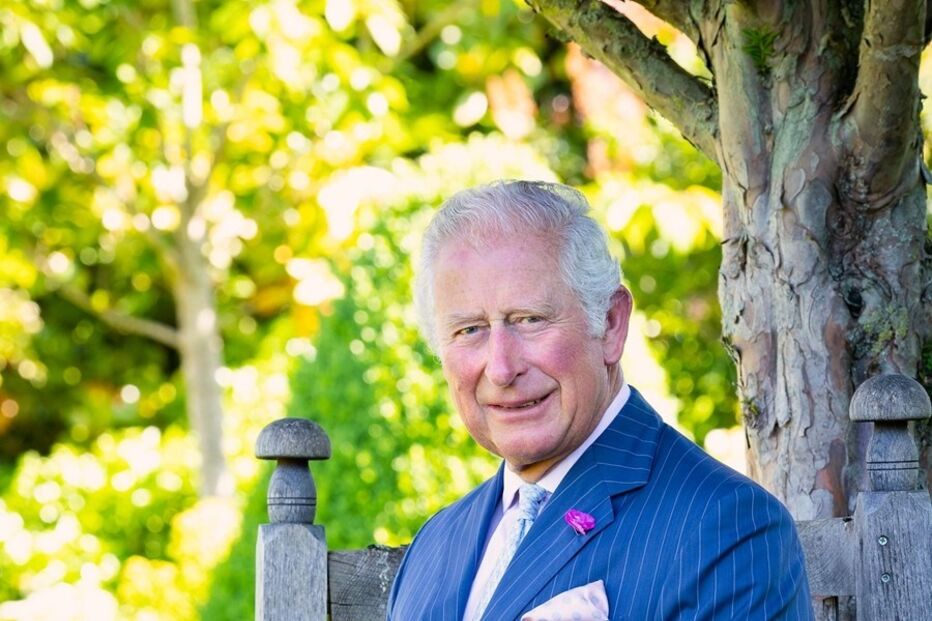 Príncipe Carlos avançou com  dinheiro para apoiar o irmão