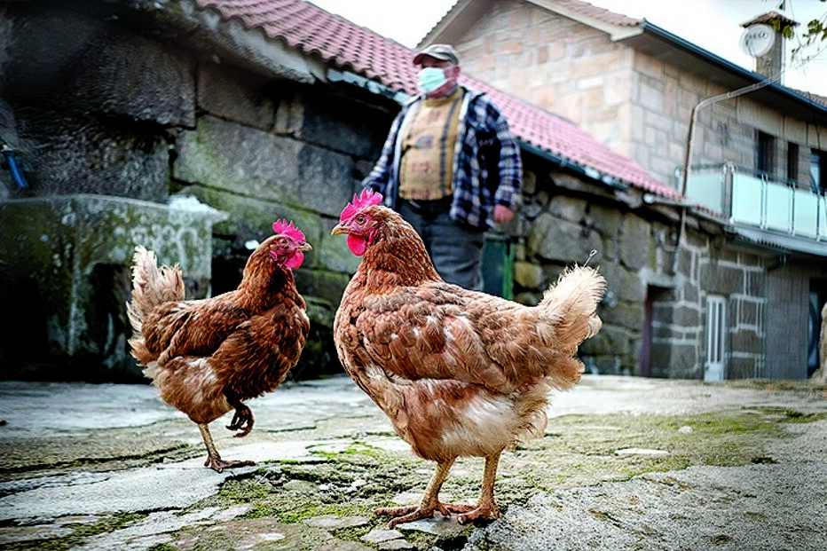 Imagem 36774000.jpg (13204403) (Milenium)