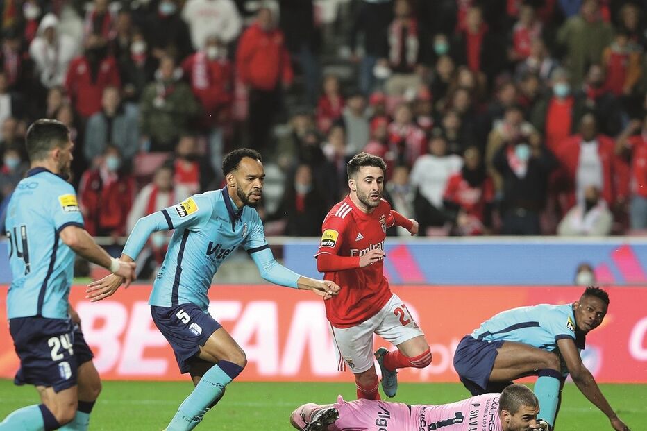 Imagem LMN_0541.jpg (13224982) (Milenium)