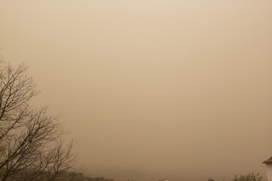 2022-03-16_12_58_58 42573590.JPG