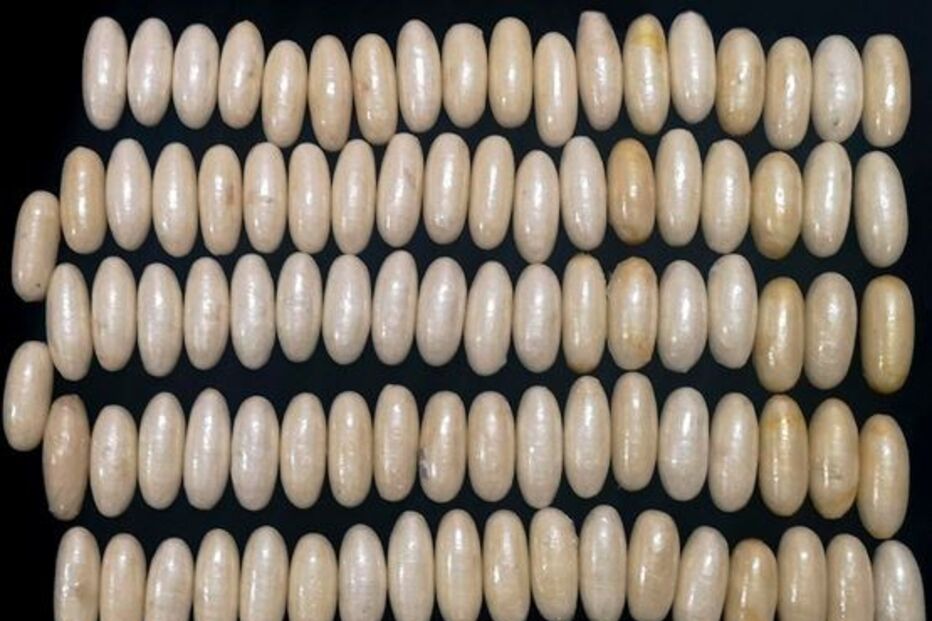 cocaína, correio de droga, detenção