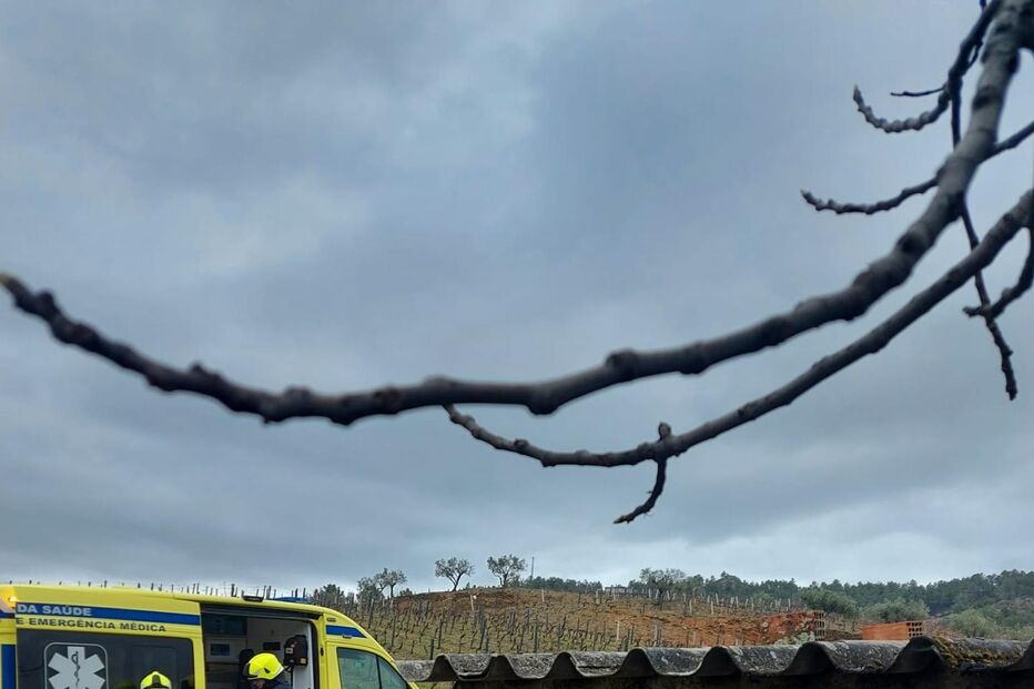 2022-03-22_16_32_02 9b6f90af-062c-4a07-82b2-3c3672fba34c.jpg