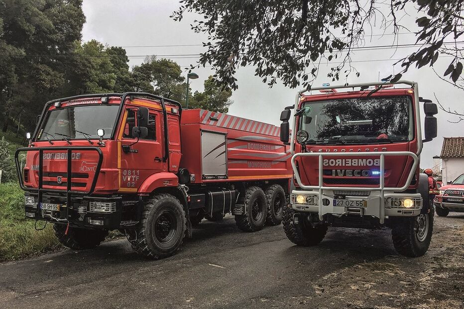 Imagem 15792142.jpg (13335862) (Milenium)