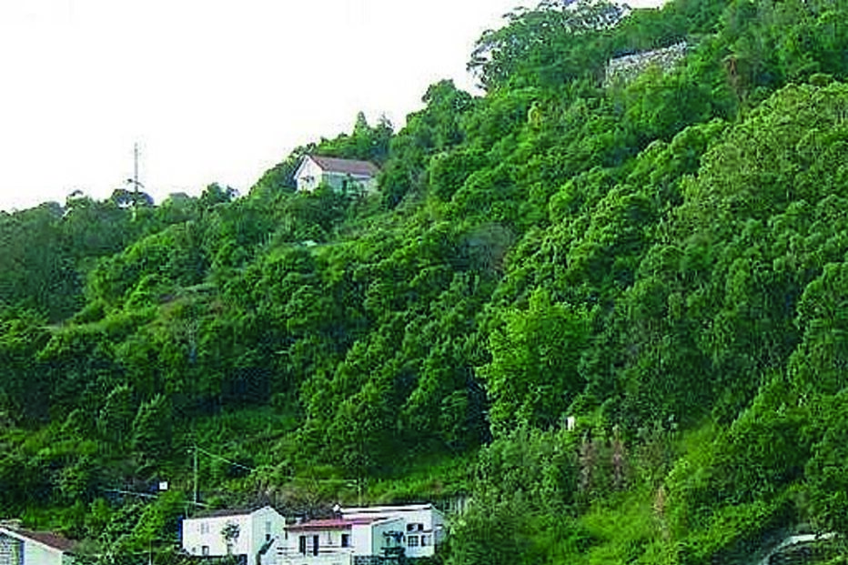 São Jorge registou 1800 sismos