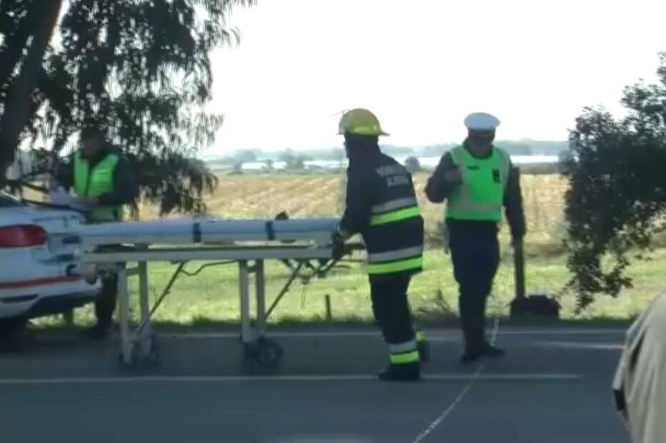 Condutor atropela homem e diz que era javali