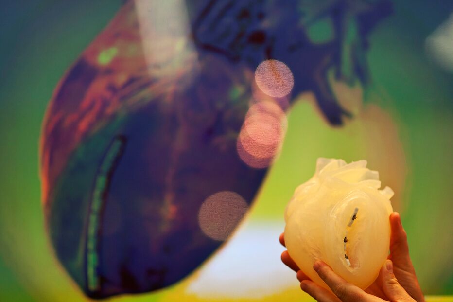 Réplica de coração humano