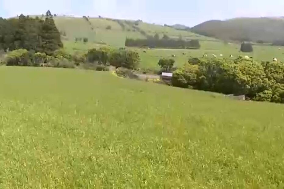 2022-03-29_13_04_02 Ilha de São Jorge sentiu mais de 200 sismos em 12 horas.jpg