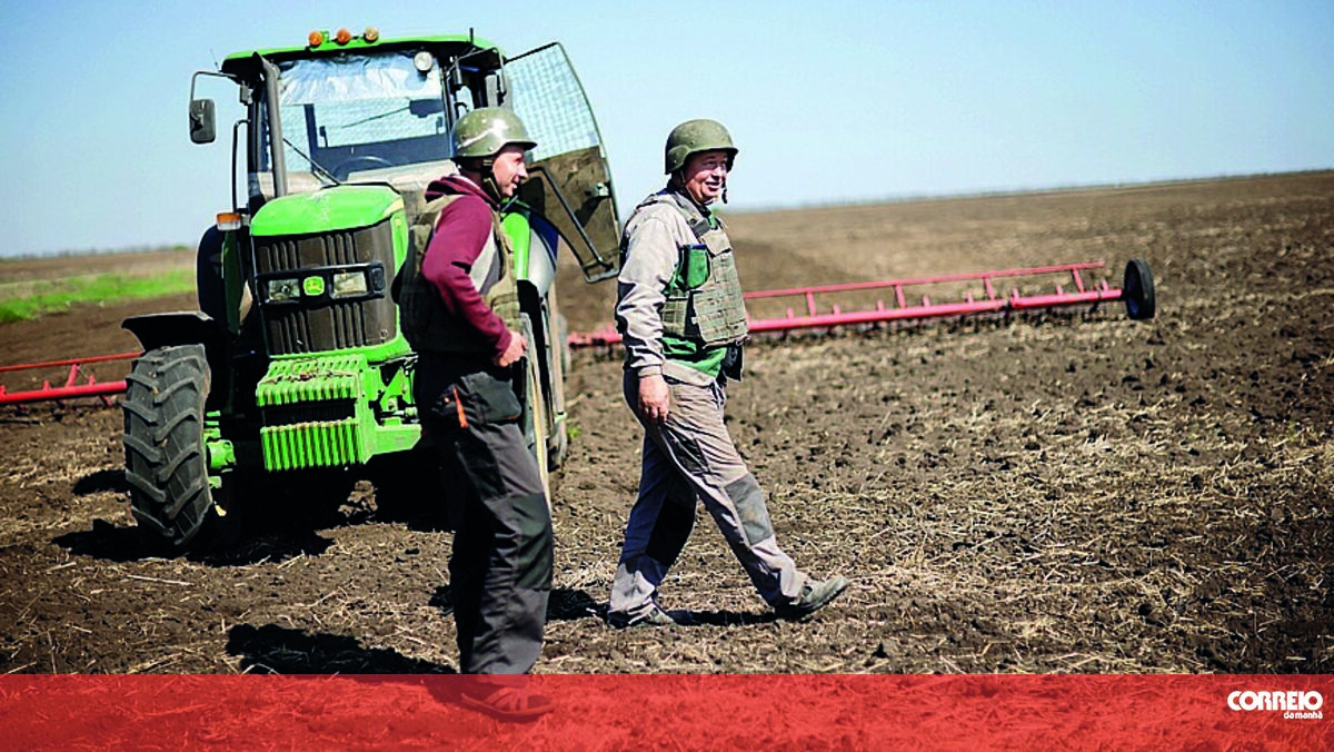 PSD Portalegre accuses government of ‘failing to speak’ with farmers