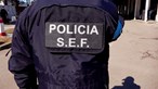 SEF tem 29 inquéritos a decorrer por crimes ligados a exploração de imigrantes no Alentejo