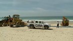 Autoridades de saúde interditam zona no areal da praia da Fonte da Telha onde esteve baleia
