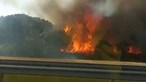 Incêndio obriga ao corte da A13 em Pegões, no Montijo. Mais de 100 operacionais no combate às chamas
