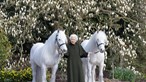 96 anos, um sorriso e dois póneis brancos: Isabel II assinala aniversário com nova foto