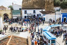 2022-04-20_17_34_59 _CMM5859.jpg