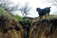 ucrânia, guerra, conflito, invasão russa, Horlivka, ucranianos