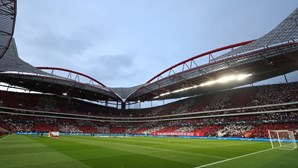 Juros ‘queimam’ 8,28 milhões de euros da SAD do Benfica