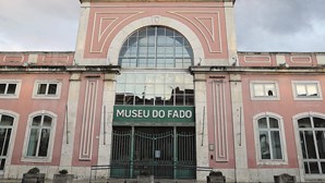 AM de Lisboa sugere gratuidade nos museus municipais para jovens nacionais ou estrangeiros