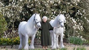 96 anos, um sorriso e dois póneis brancos: Isabel II assinala aniversário com nova foto