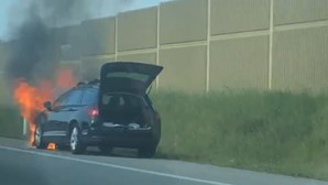 Carro incendeia-se na A1, no sentido Sul-Norte, na Mealhada