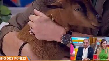 Melhores momentos do Manhã CM - Parte VI