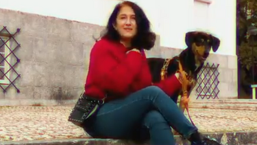 Charlie já consegue ignorar os outros cães