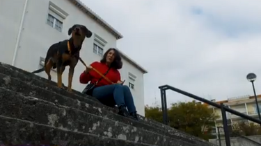 Será que Charlie vai ser capaz de resolver os comportamentos agressivos?