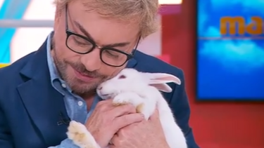 Coelhos do 'Cantinho dos Póneis' estiveram no Manhã CM