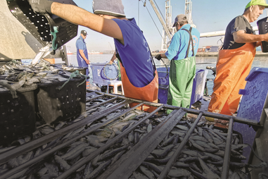 Lotas, pescadores, pesca