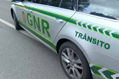 Três feridos após colisão entre carrinha e uma vaca na A22