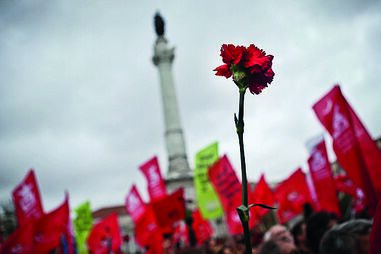 Avenida da Liberdade, cravo, 25 de abril
