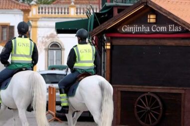 Militar da GNR julgado por estar alcoolizado a cavalo na Feira da Golegã