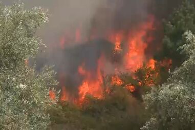 Engenheiro ateou 16 fogos em Castelo Branco por "vontade de ver o fumo"
