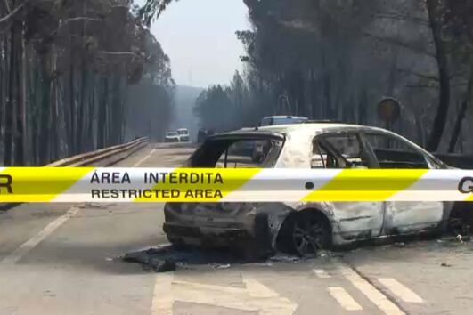 pedrógão grande, incêndio