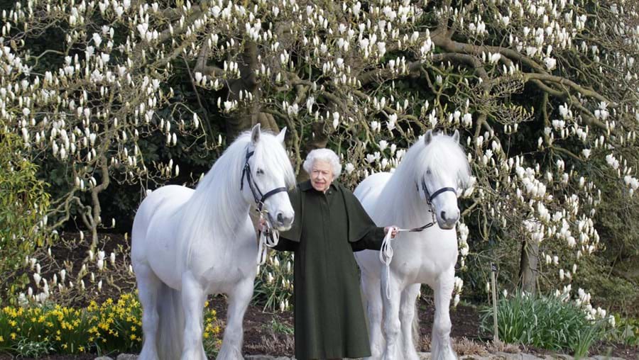 96 anos e dois póneis brancos: Como Isabel II assinalou o aniversário com nova foto
