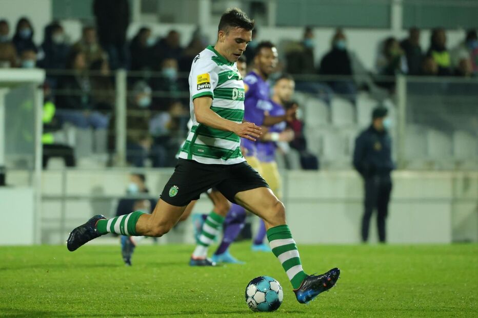 Palhinha é um dos trunfos que Rúben Amorim terá à sua disposição para a reta final desta temporada